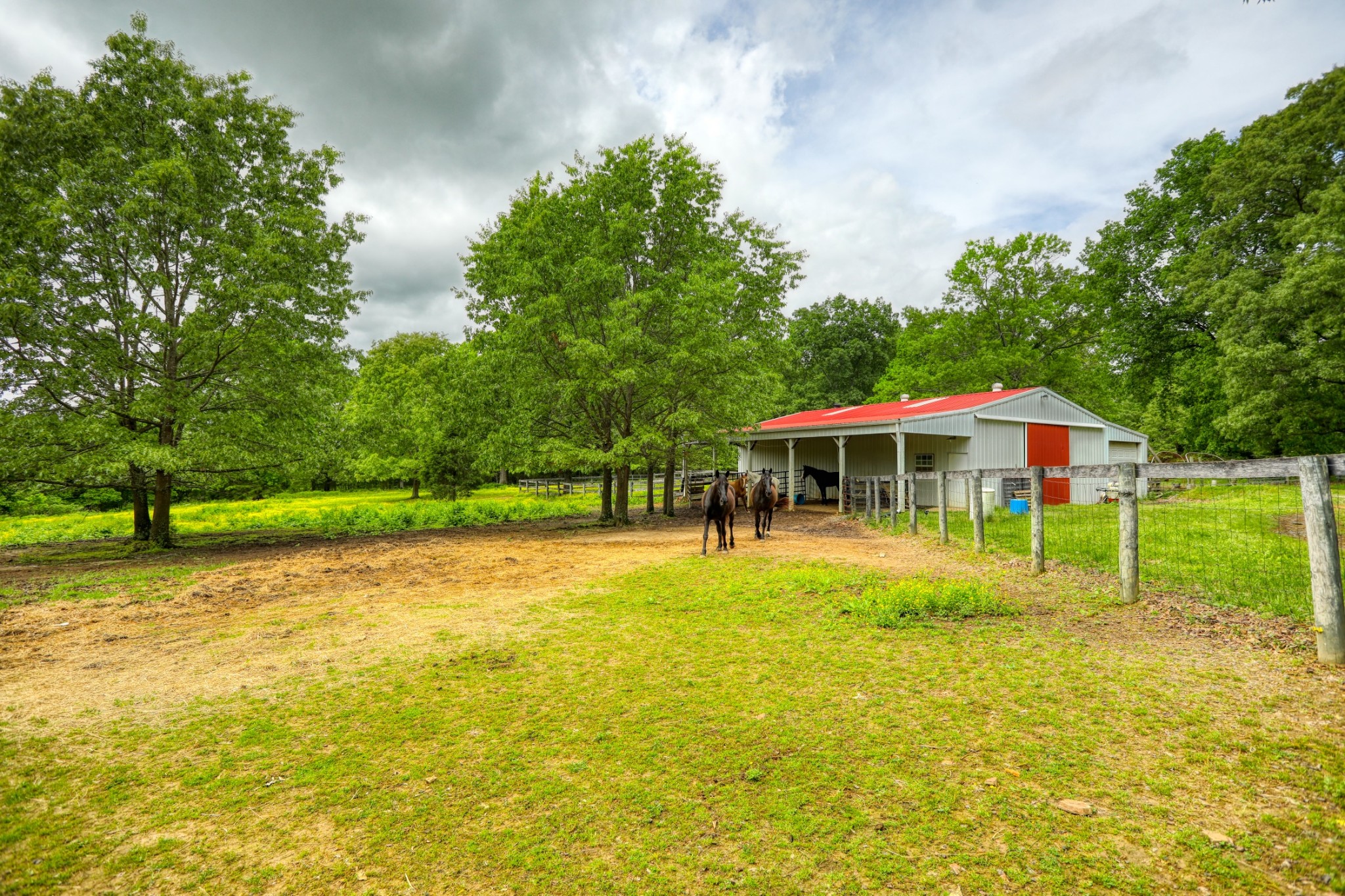 2838 New Roe Road Adolphus, KY 42120 - Photo 25 of 37 a view of a swimming pool with a yard