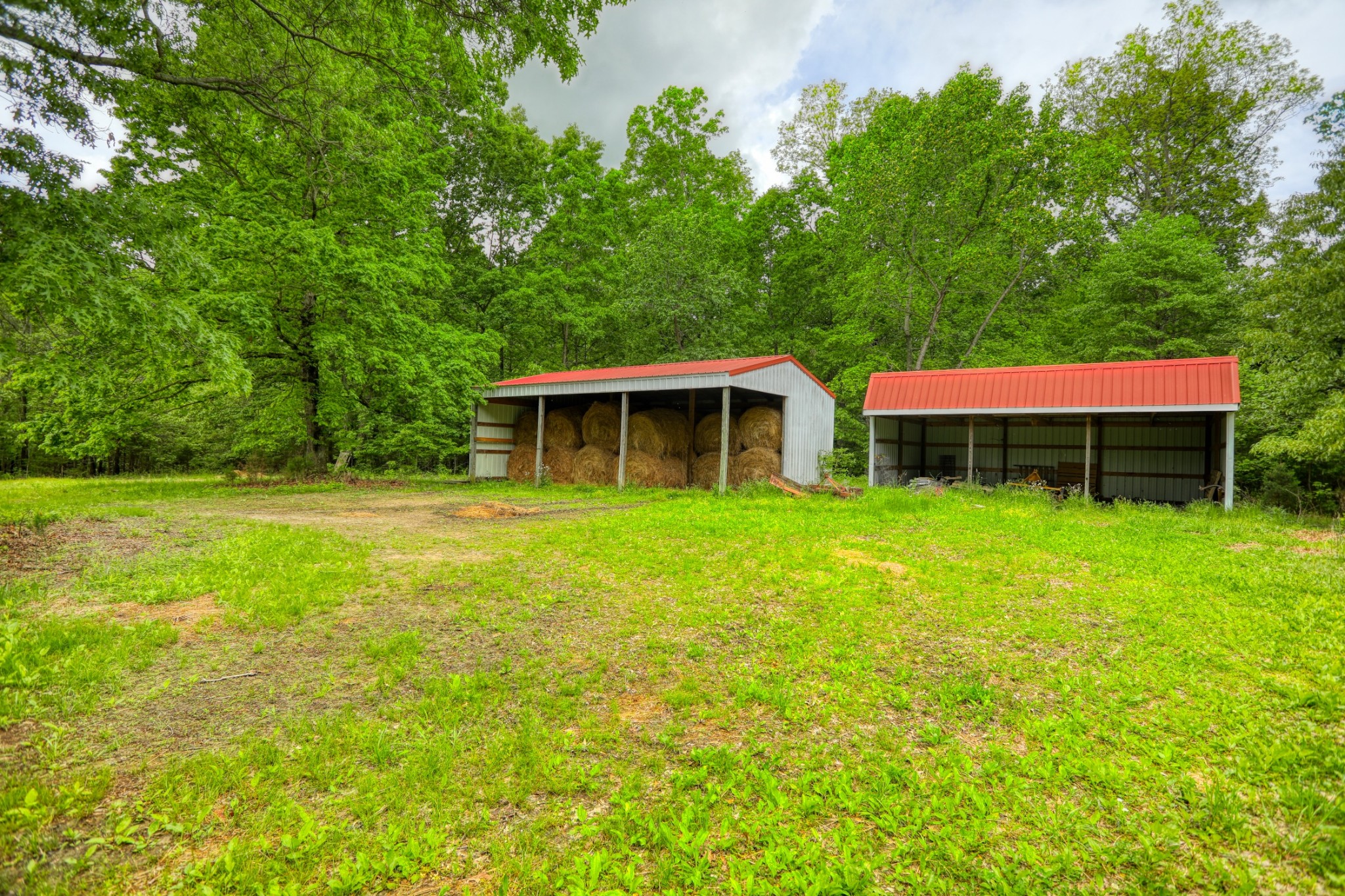 2838 New Roe Road Adolphus, KY 42120 - Photo 29 of 37 a front view of house with yard and green space