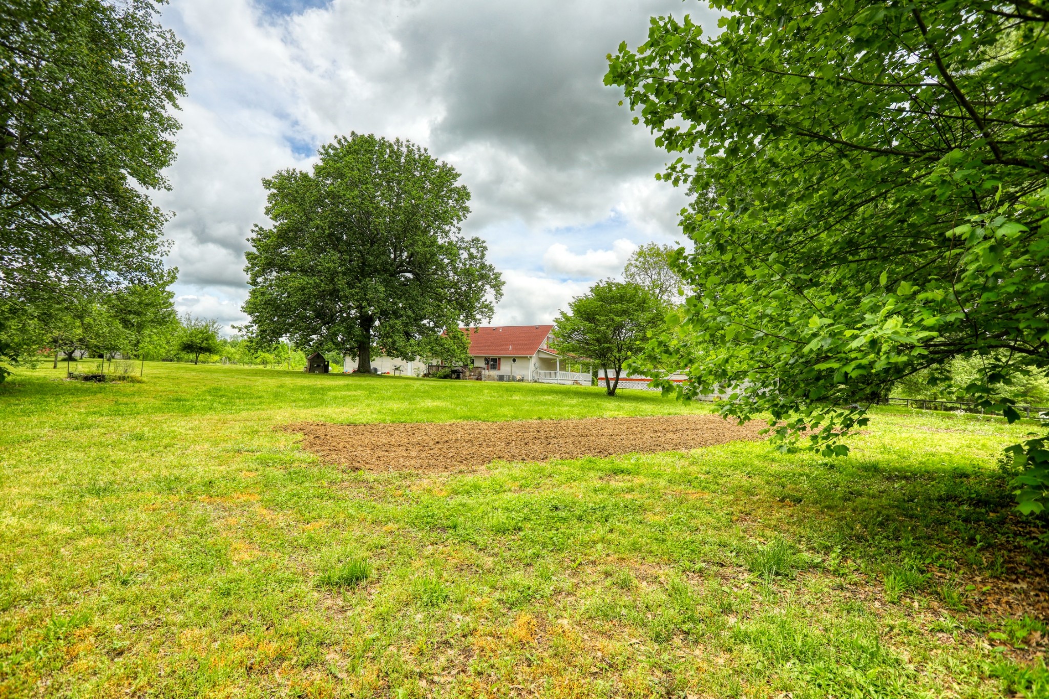 2838 New Roe Road Adolphus, KY 42120 - Photo 31 of 37 a view of a trees with yard in front of it