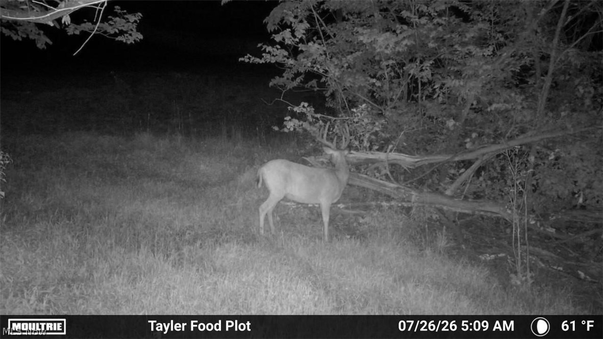 Taylor Road Dennison, OH 44621 - Photo 41 of 48 Gallery Image 41