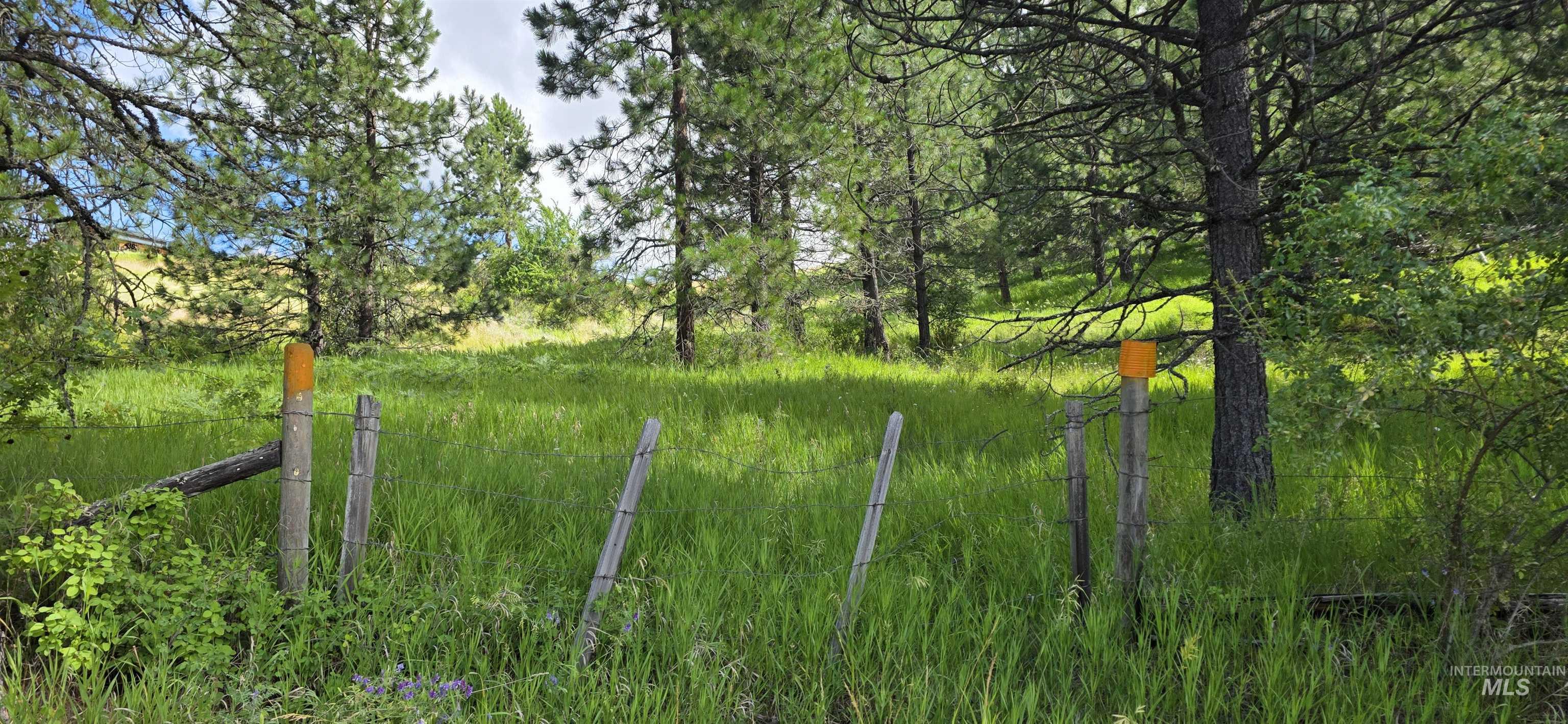 Tbd Red Fir Road Kooskia, ID 83539 - Photo 32 of 34