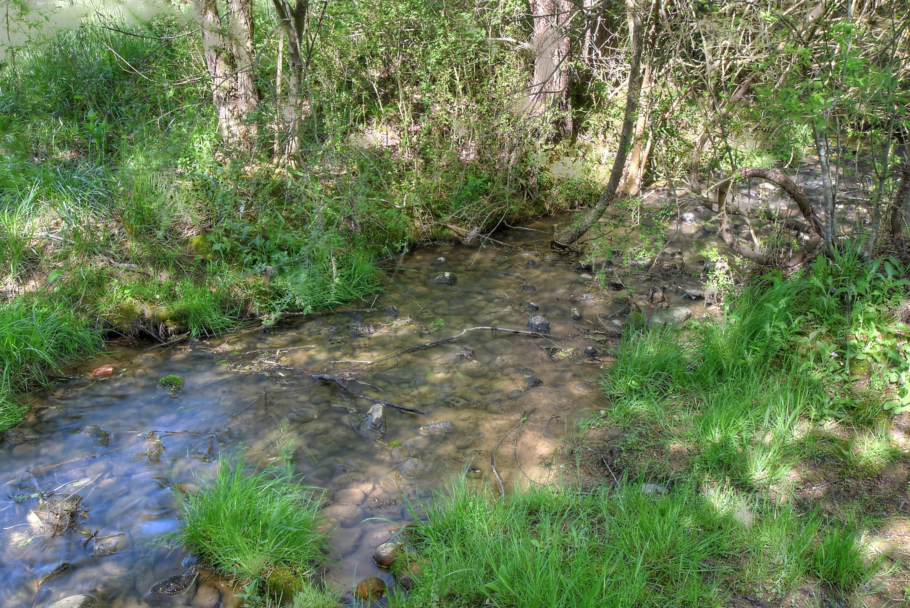 420 Bailey Bridge Road Limestone, TN 37681 - Photo 45 of 47 DSC_0685_86_87_88_89_90