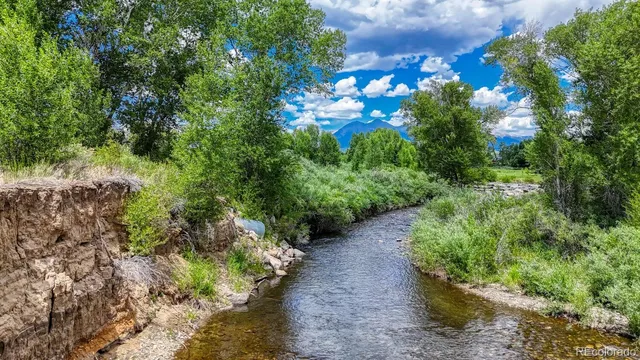 a view of a garden with plants
