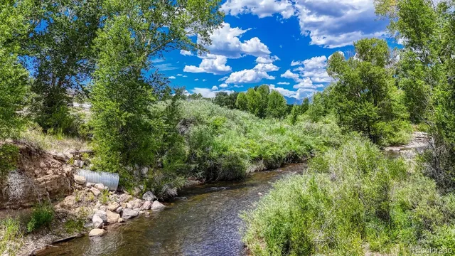 a view of a bunch of trees and bushes