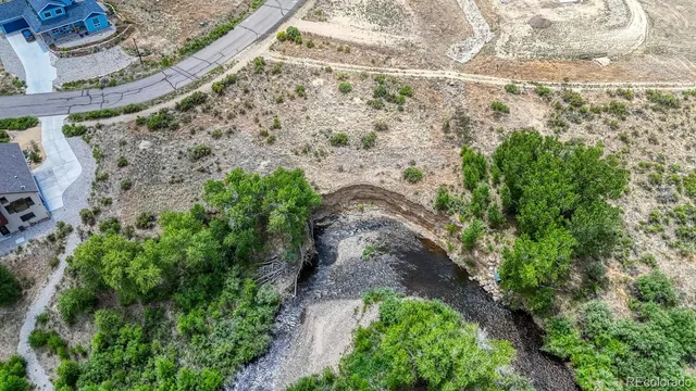 a view of a yard with plants and large trees