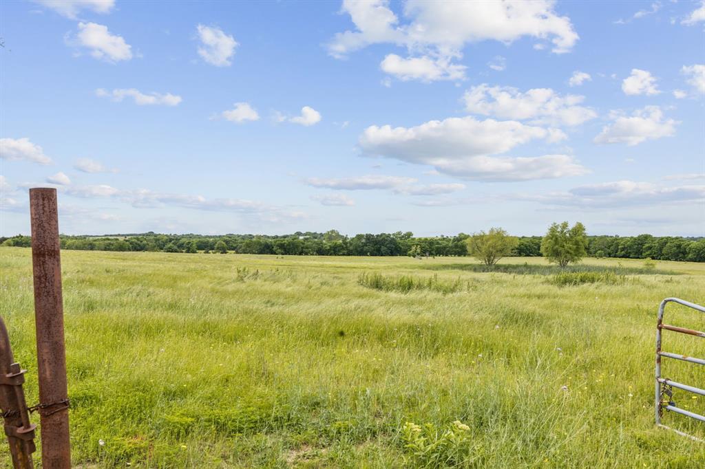 1562 Rd Celeste Tx 75423 Road Celeste, TX 75423 - Photo 11 of 21 View of undeveloped land with rural landscape