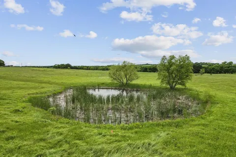 a view of a lake from a yard