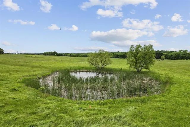 a view of a lake from a yard