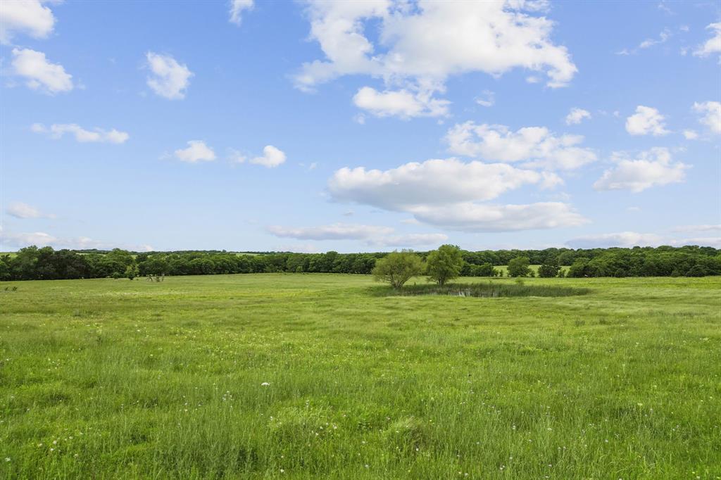 1562 Rd Celeste Tx 75423 Road Celeste, TX 75423 - Photo 4 of 21 View of nature with rural landscape