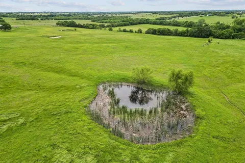 a view of a garden with a building in the background