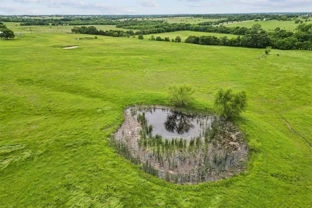 a view of a garden with a building in the background