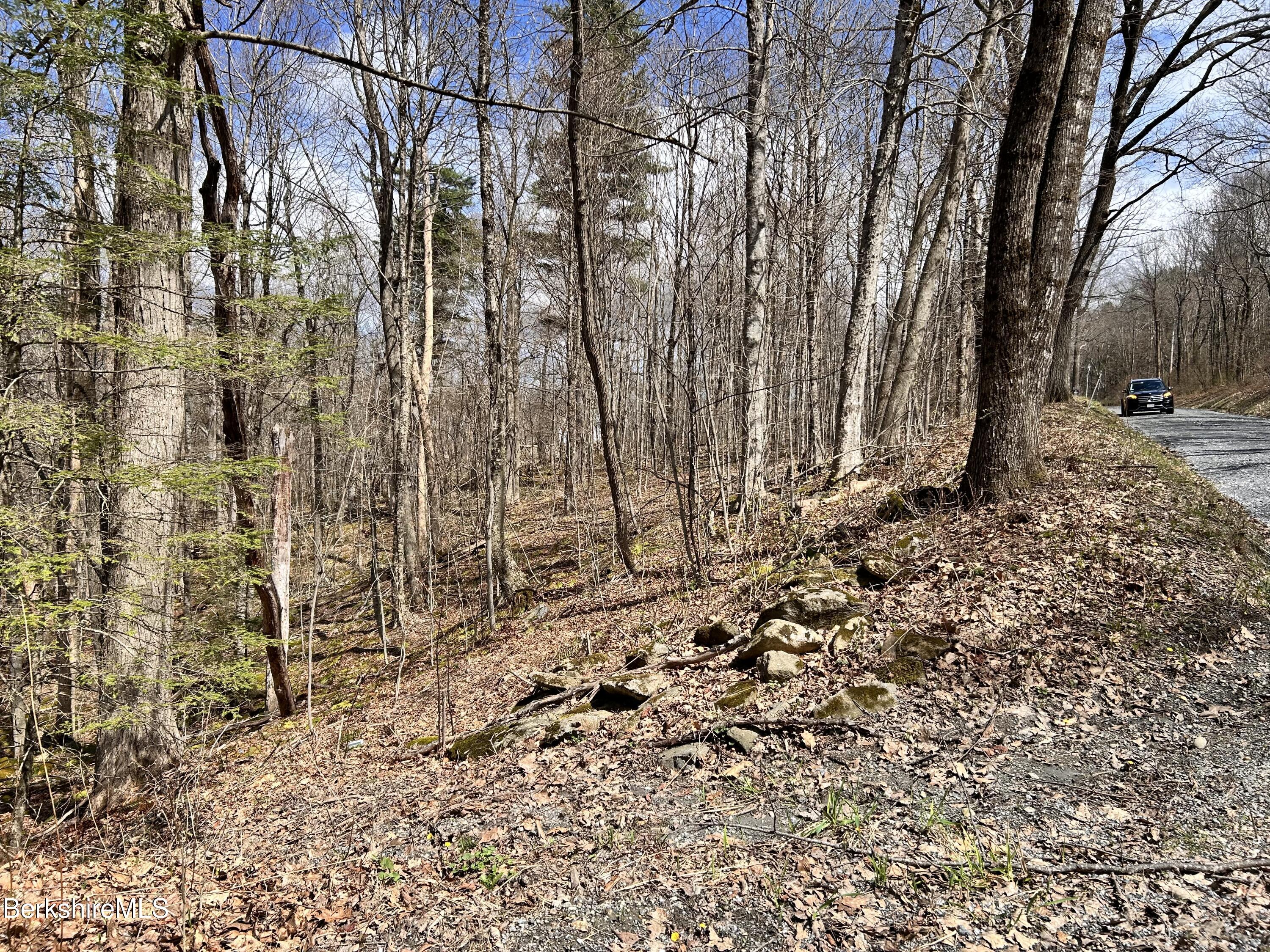 0 Goose Pond (lot Road Lee, MA 01238 - Photo 2 of 12 a view of a yard with large trees