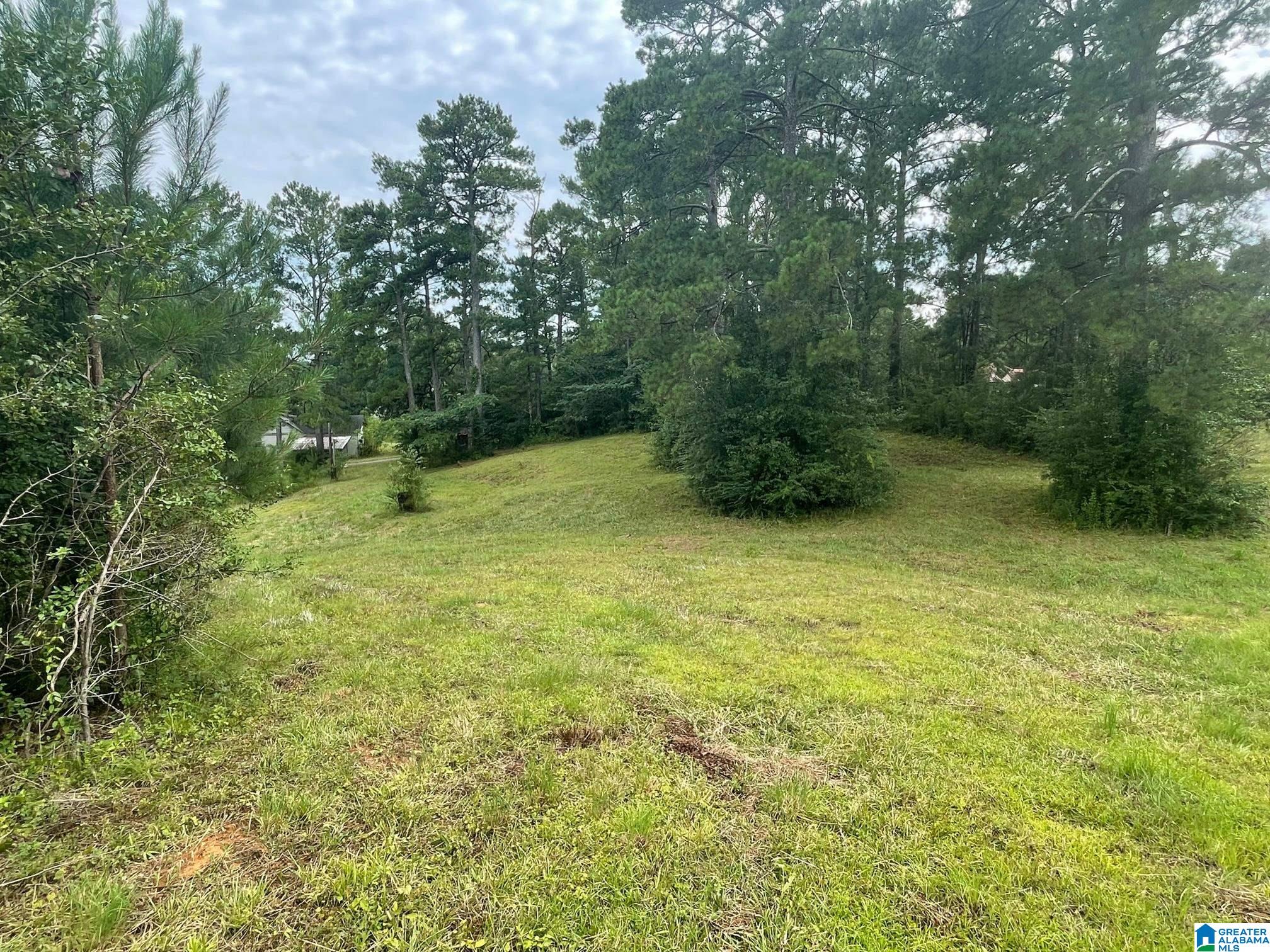 190 Silver Loop Road Columbiana, AL 35051 - Photo 16 of 21