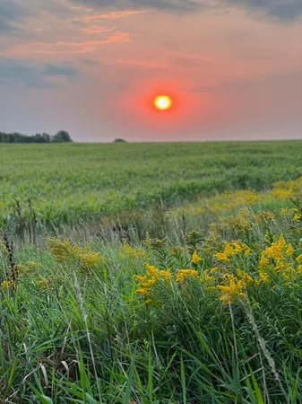 $689,700 | 2454 Sand Stone Place, Woodbury, MN 55129