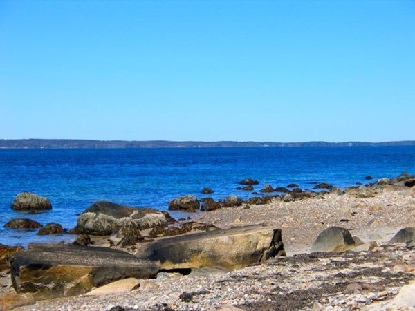 58 Forest Road West Tisbury, MA 02568 - Photo 19 of 29 a view of ocean view with beach