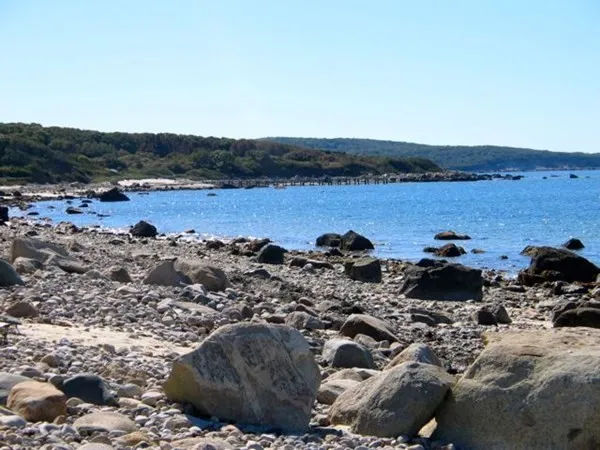 a view of a garden with chairs and table in the patio