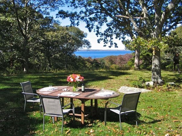 58 Forest Road West Tisbury, MA 02568 - Photo 28 of 29 a patio with table and chairs