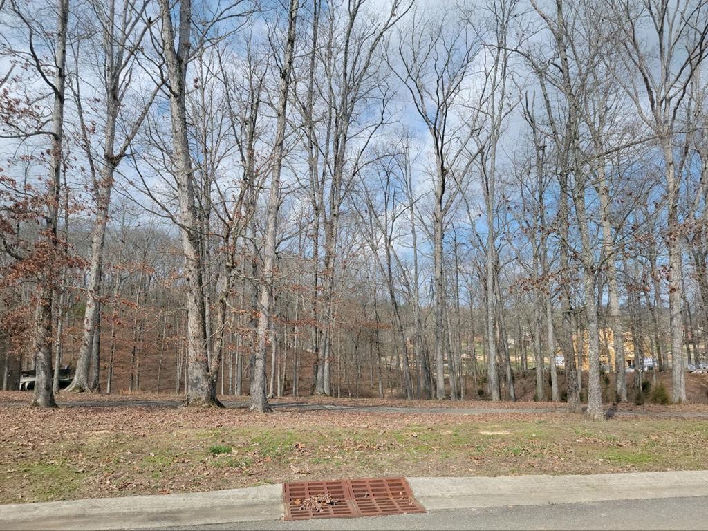 0 Waterfront Way Spring City, TN 37381 - Photo 3 of 31 Gallery Image 3
