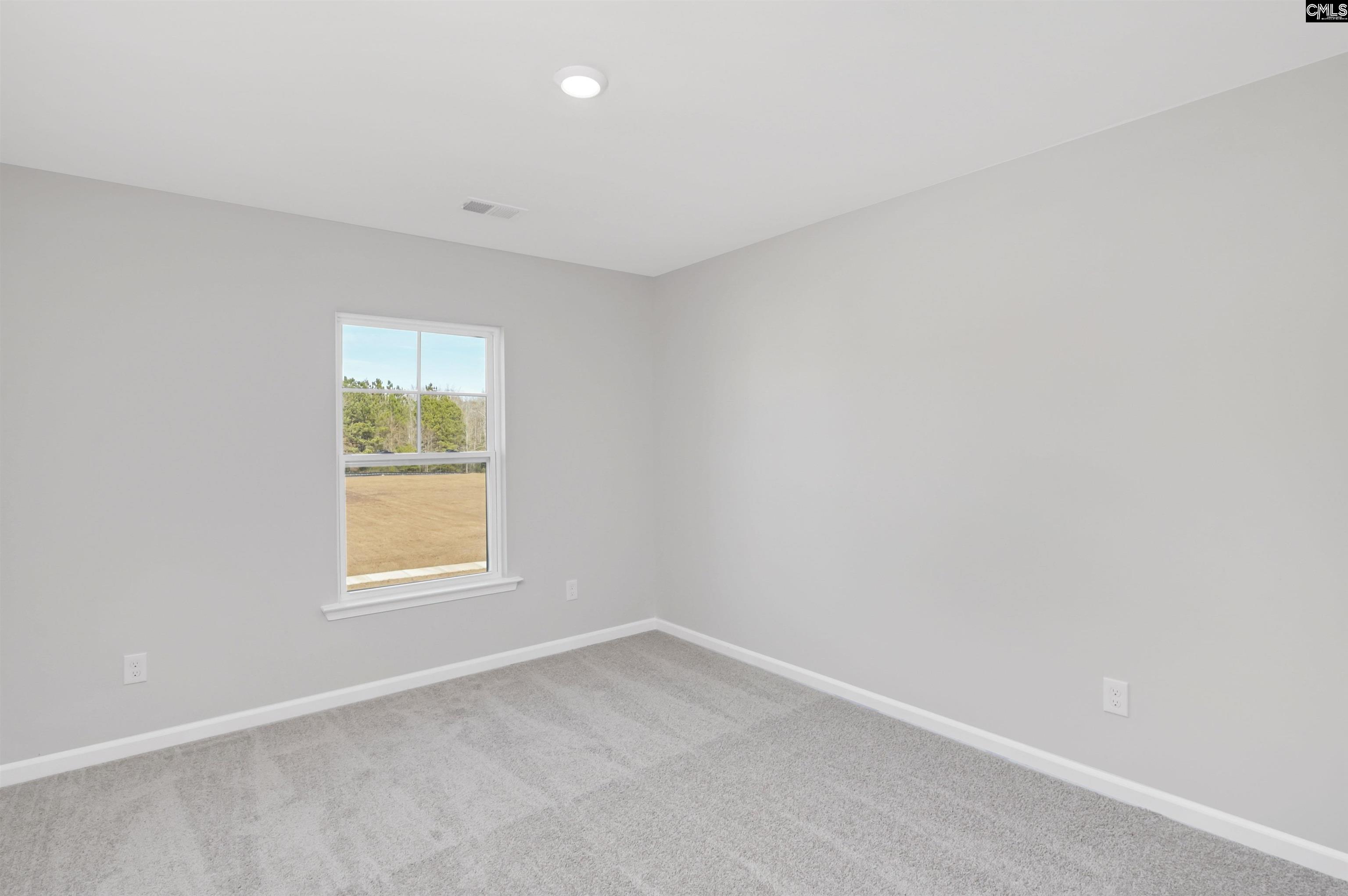 253 Boseman Road Irmo, SC 29063 - Photo 27 of 37