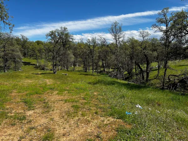 a view of a field with an trees