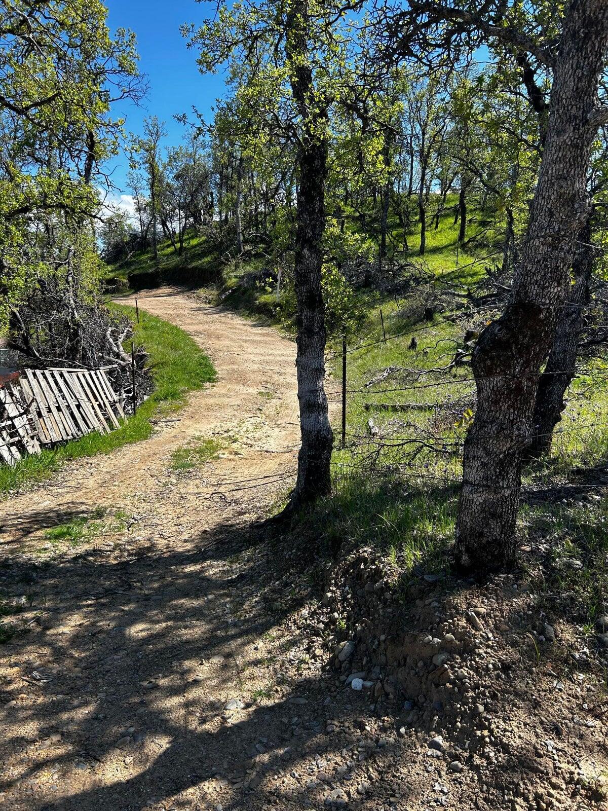 8.6-ac - Sunpoint Road Cottonwood, CA 96022 - Photo 2 of 11 Corner of property at Sunpoint Rd.