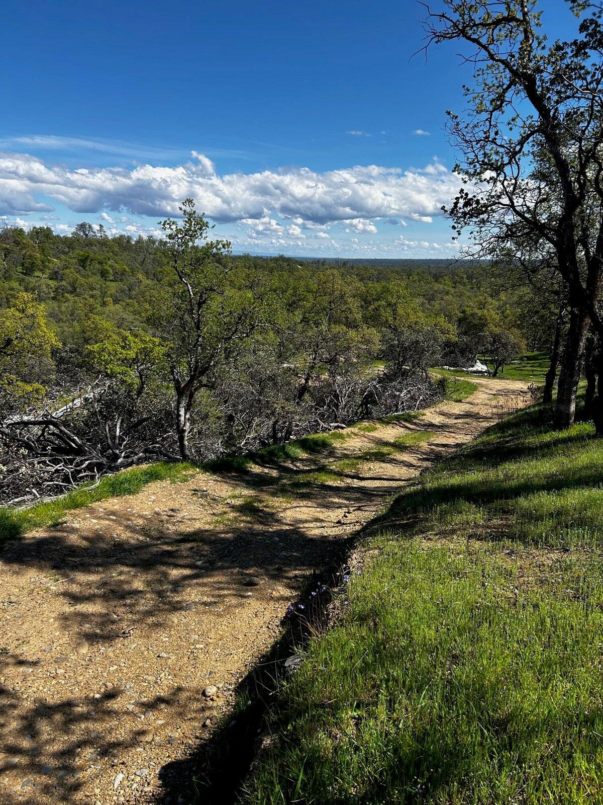 8.6-ac - Sunpoint Road Cottonwood, CA 96022 - Photo 4 of 11 20230413012512277044000000-o