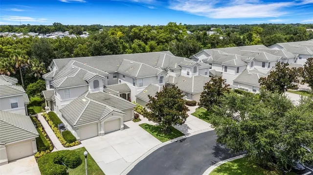 a view of a garden with plants