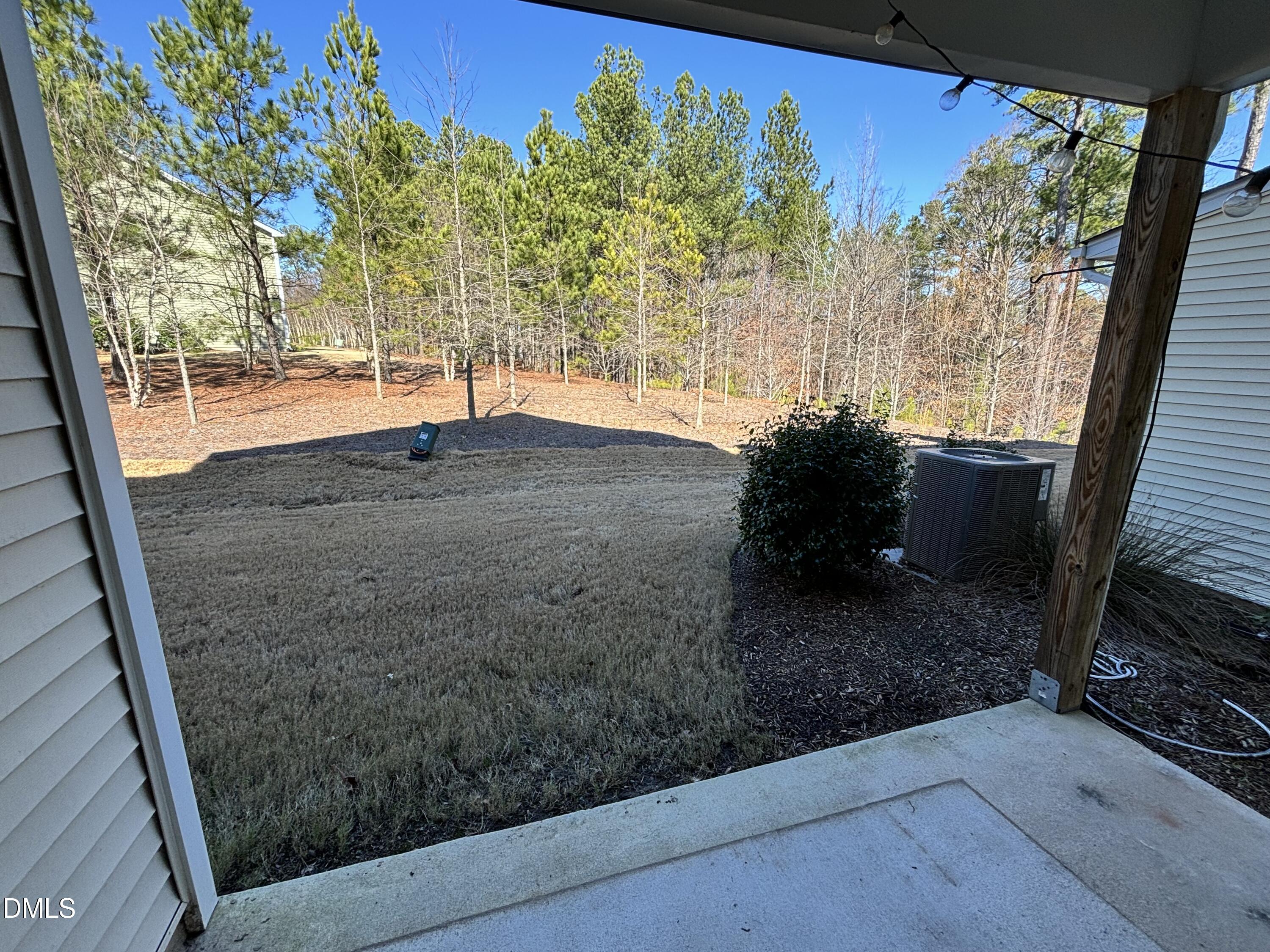 1005 Epiphany Road Morrisville, NC 27560 - Photo 4 of 21 a view of a backyard of the house