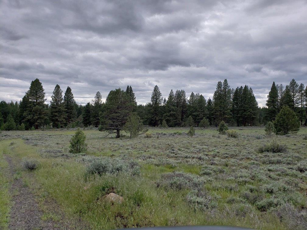 0 24 Bamford Road Bly, OR 97622 - Photo 10 of 19 Additional Photo