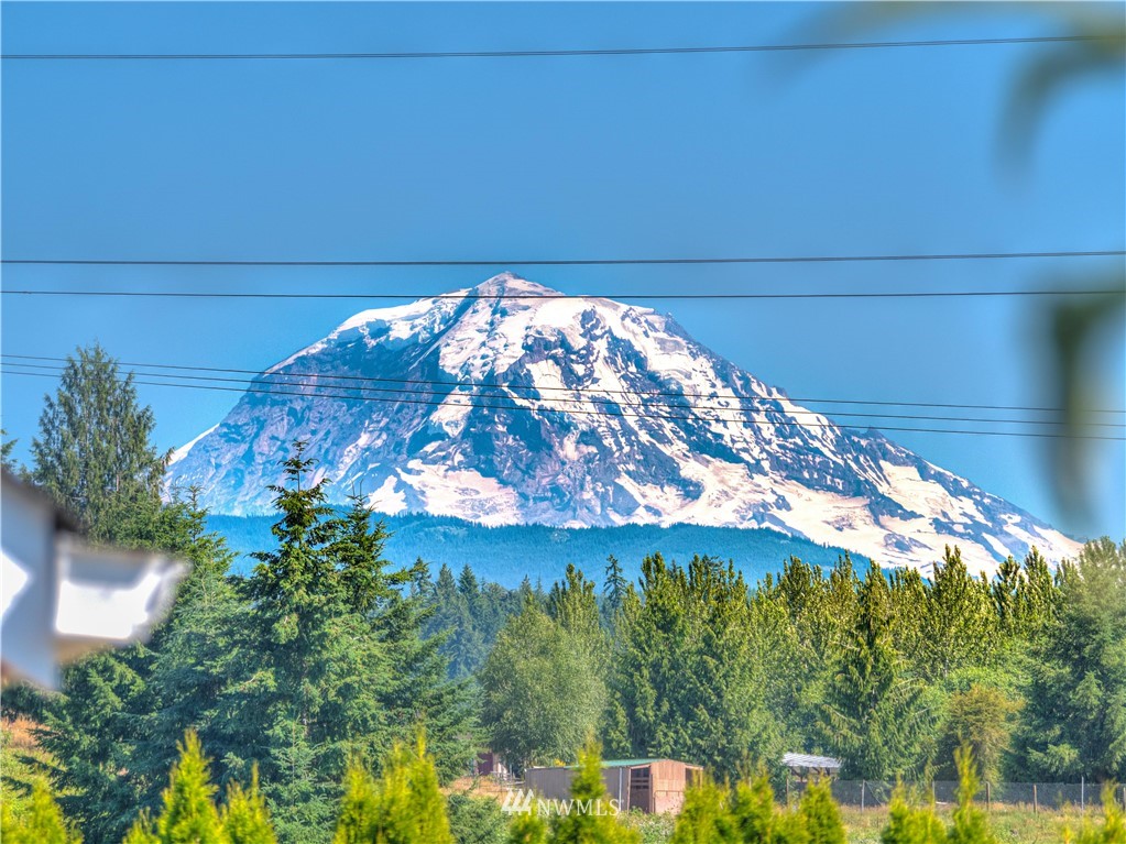 15305 Carbonado-S Prairie Road Buckley, WA 98321 - Photo 2 of 31 Gallery Image 2