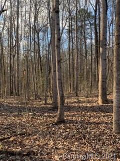 8 Burree Road Clover, SC 29710 - Photo 12 of 14 Gallery Image 12