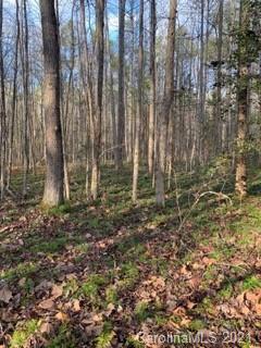 8 Burree Road Clover, SC 29710 - Photo 5 of 14 Gallery Image 5