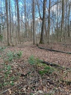 8 Burree Road Clover, SC 29710 - Photo 10 of 14 Gallery Image 10