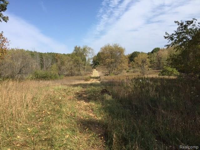Parcel B Parcel B Handy Road Howell, MI 48855 - Photo 10 of 15