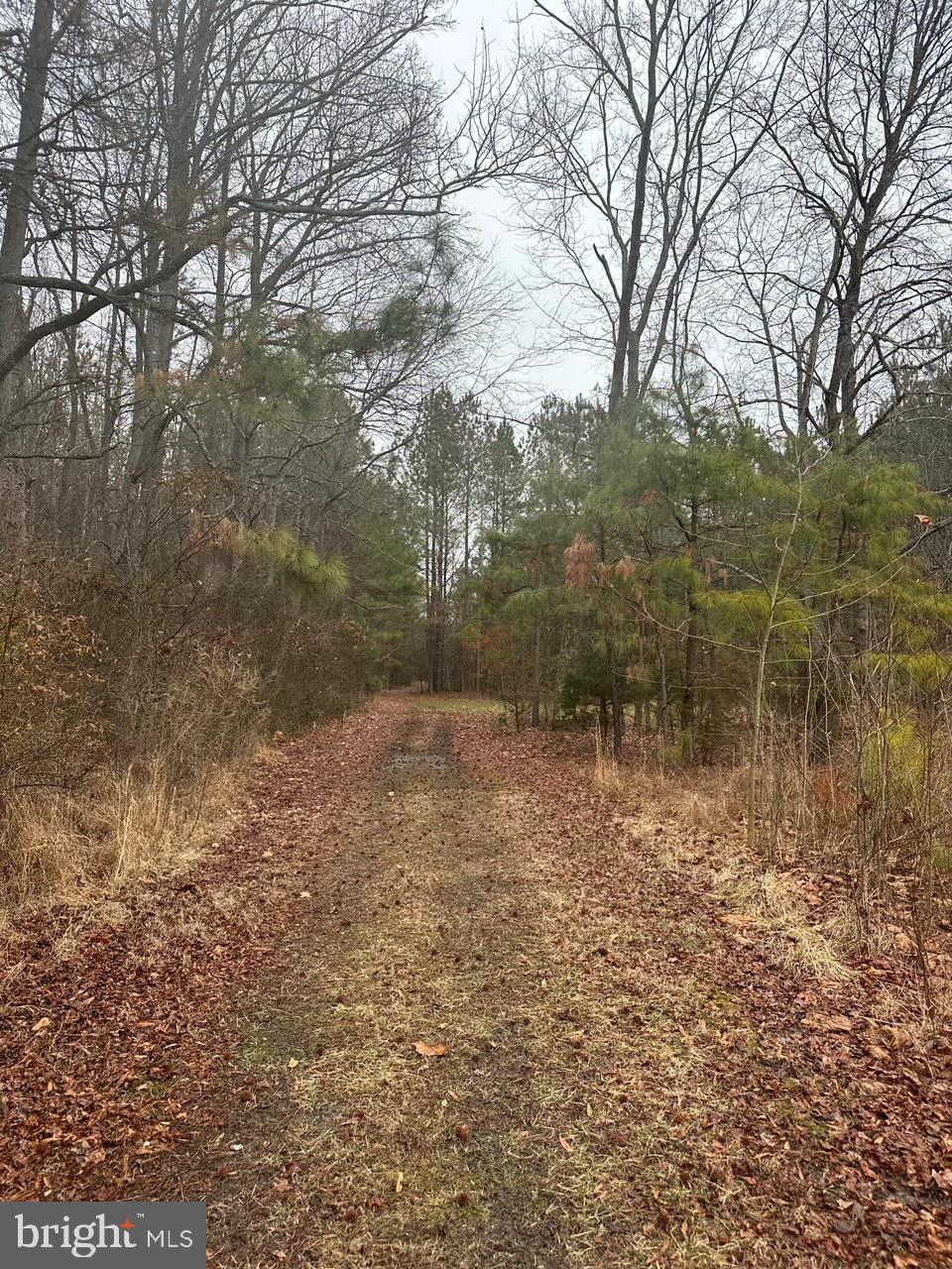0 Barkley Road Eden, MD 21822 - Photo 7 of 22 ROW