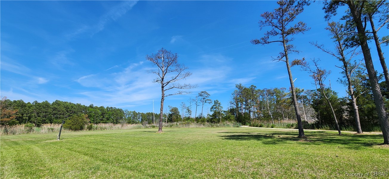 412 Piney Point Road Onemo, VA 23130 - Photo 7 of 26