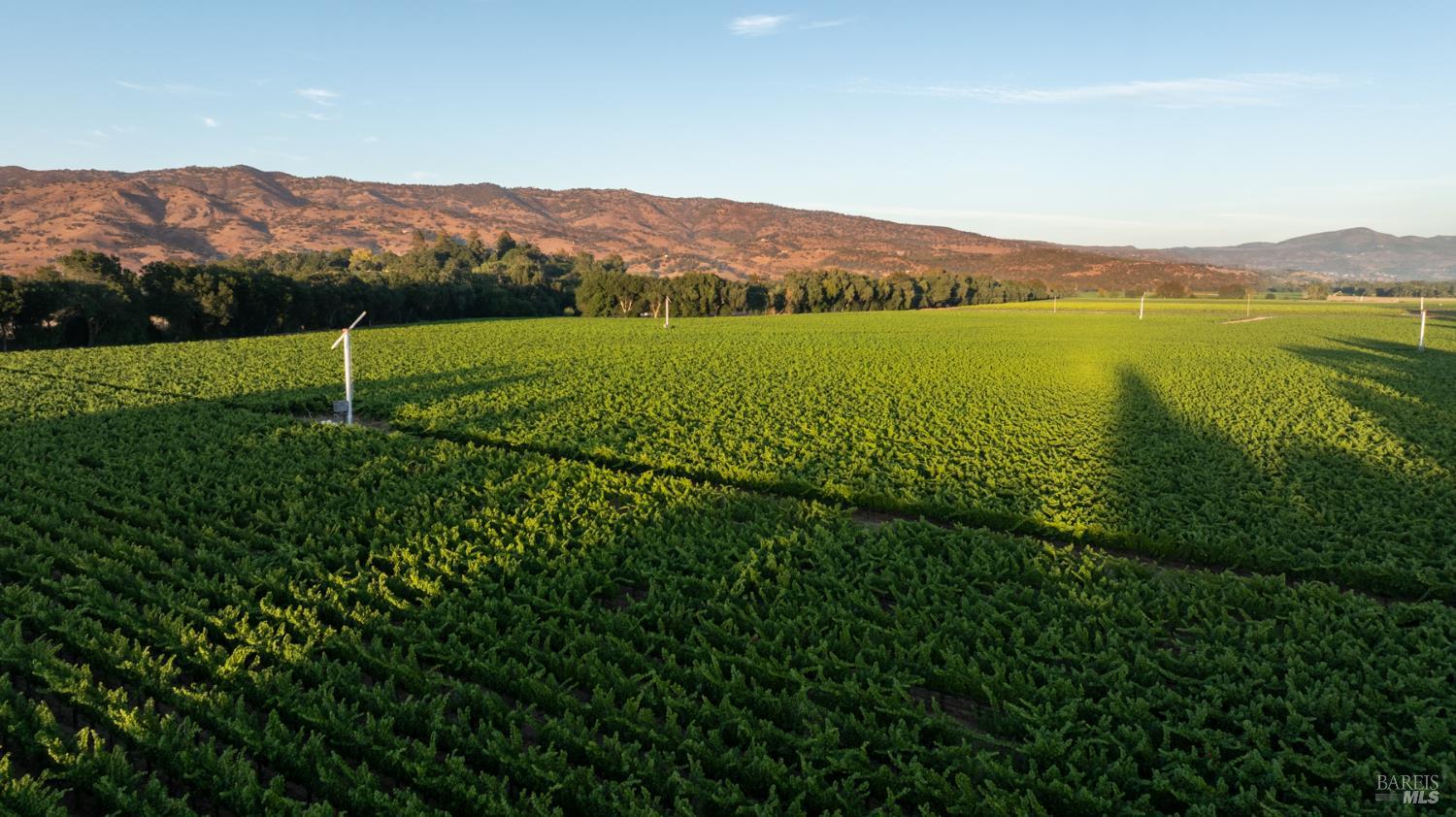 0 Ragatz Lane Napa, CA 94558 - Photo 4 of 27 Gallery Image 4
