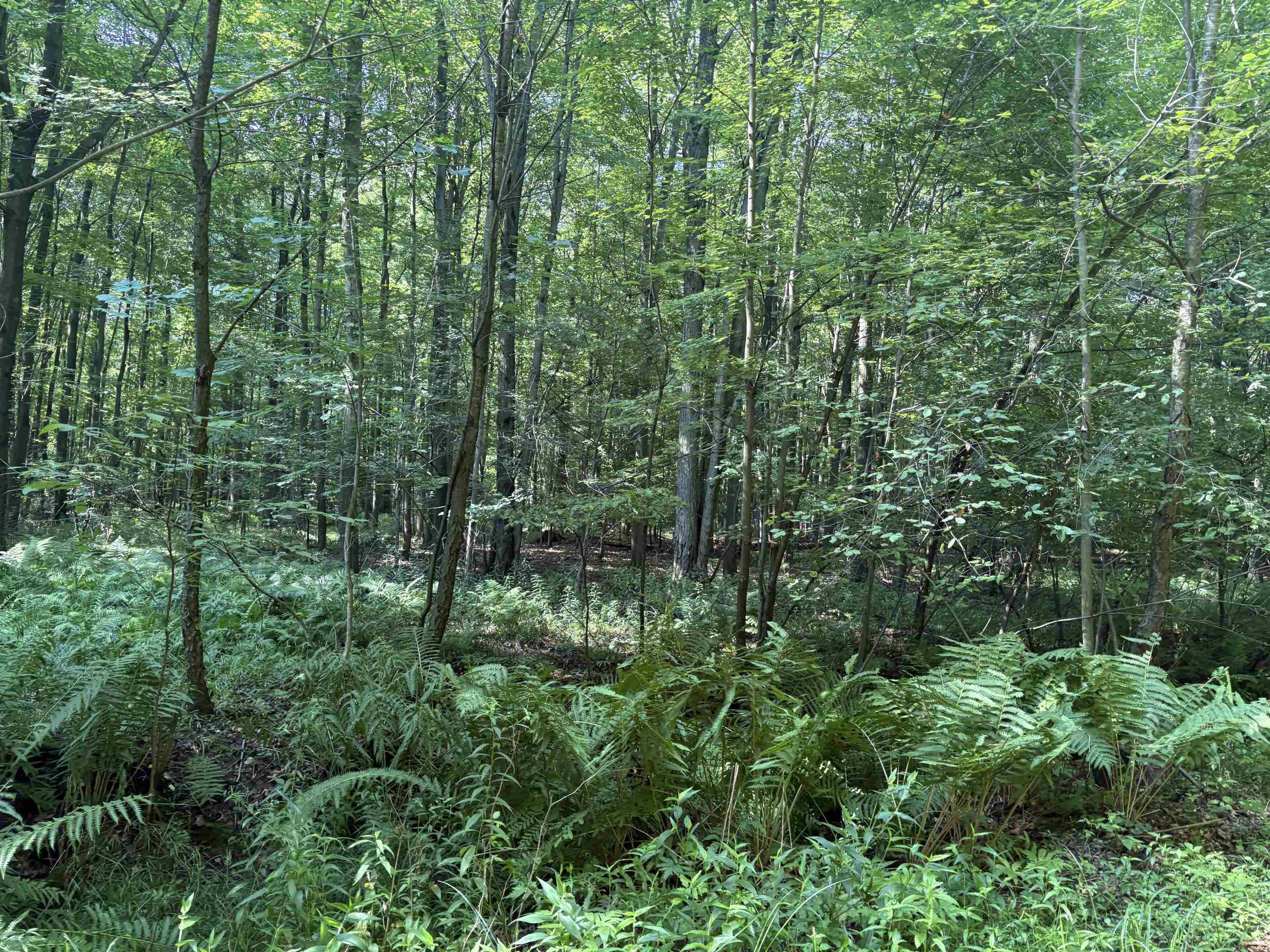 15530 Fowler Road Oakley, MI 48649 - Photo 21 of 29 50192141-3be03266-92e3-4d2c-8c84-6240b7b51e88.JPG