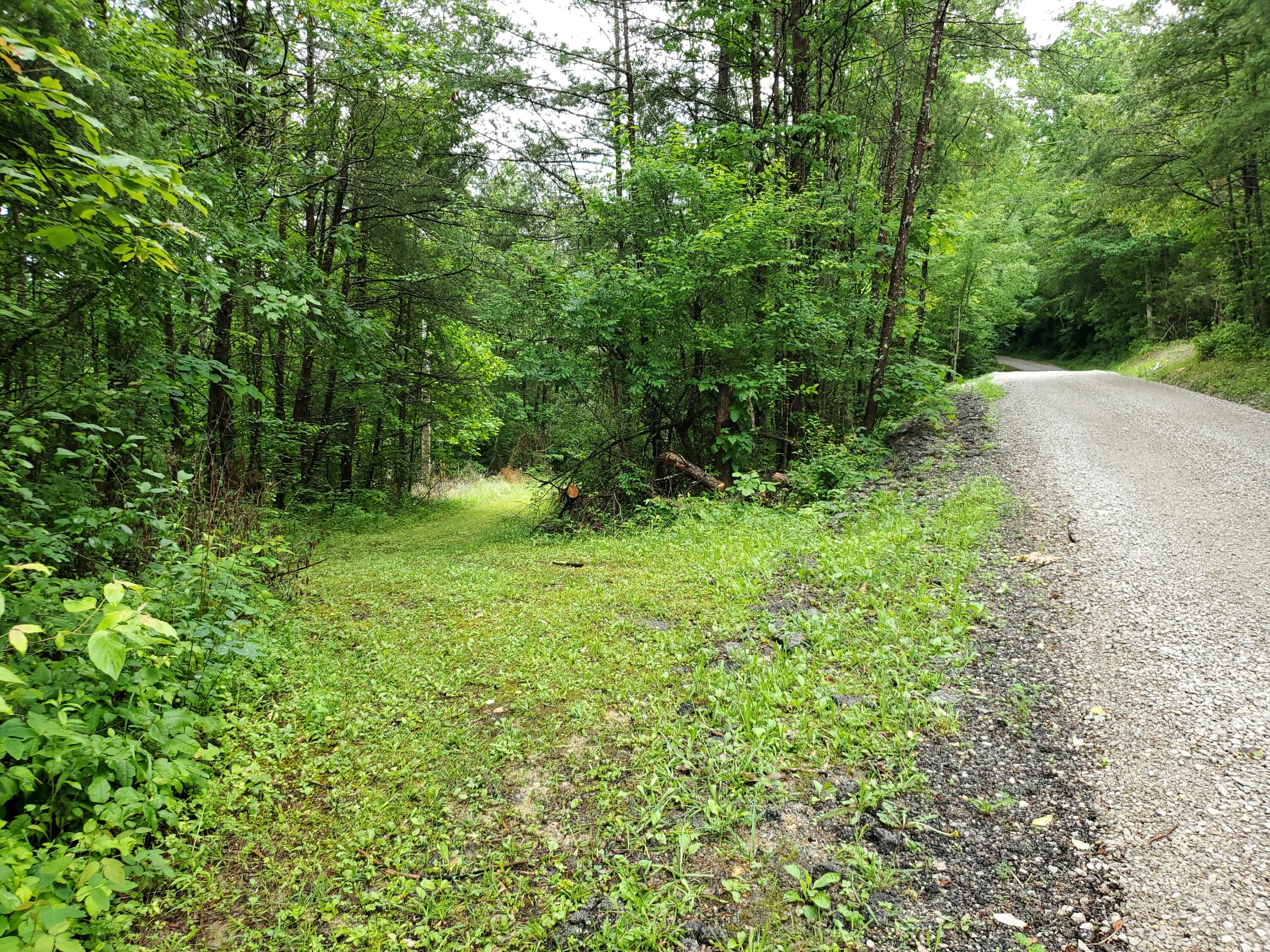 312 Bill Neal Road Whitley City, KY 42653 - Photo 26 of 57 09 Outside 09 Private Road