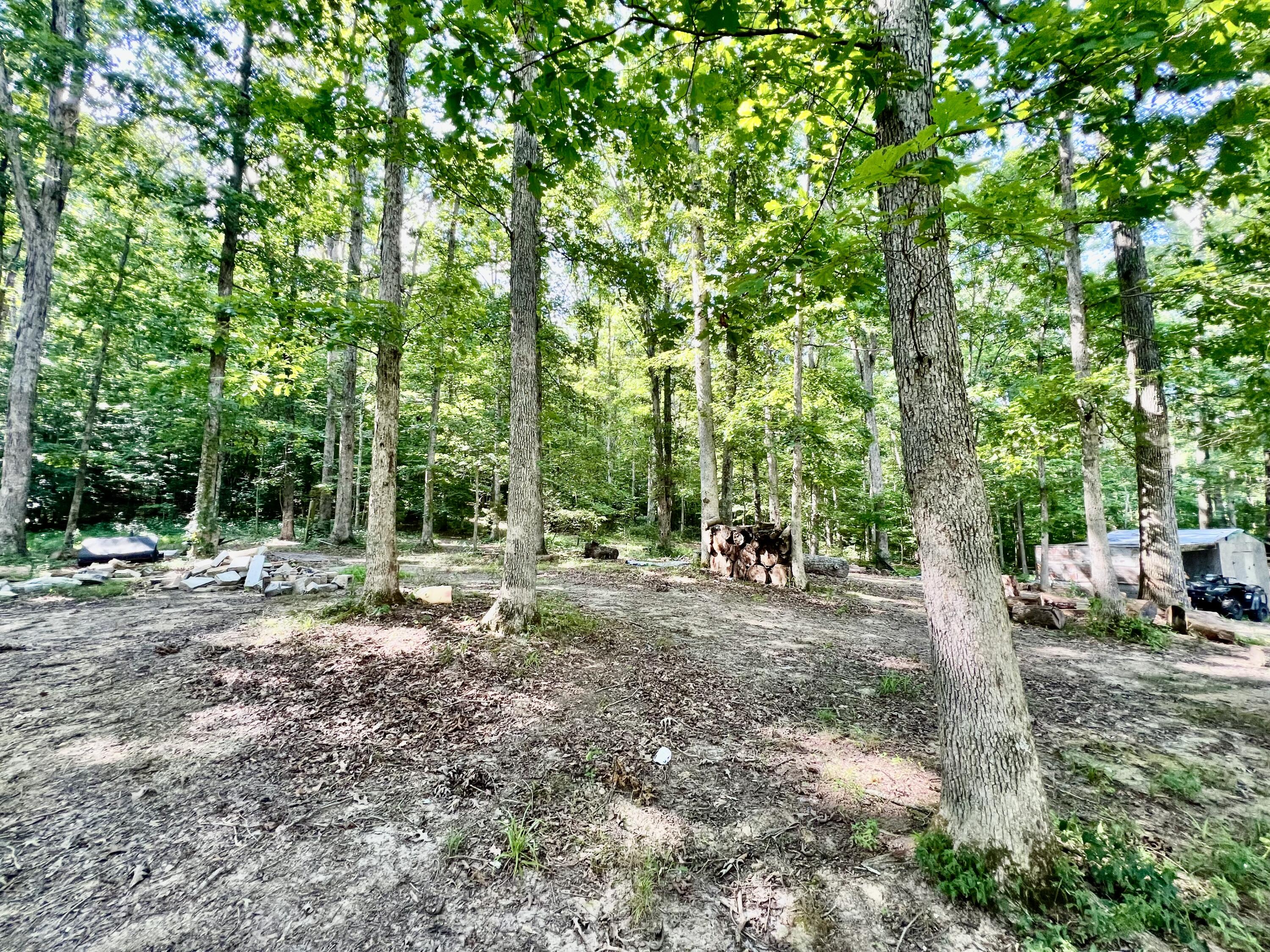 443 Grace Loop Road Mount Vernon, KY 40456 - Photo 32 of 67 IMG_2380