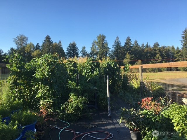 246-27 Walker Road Toledo, WA 98591 - Photo 36 of 39 Gallery Image 36