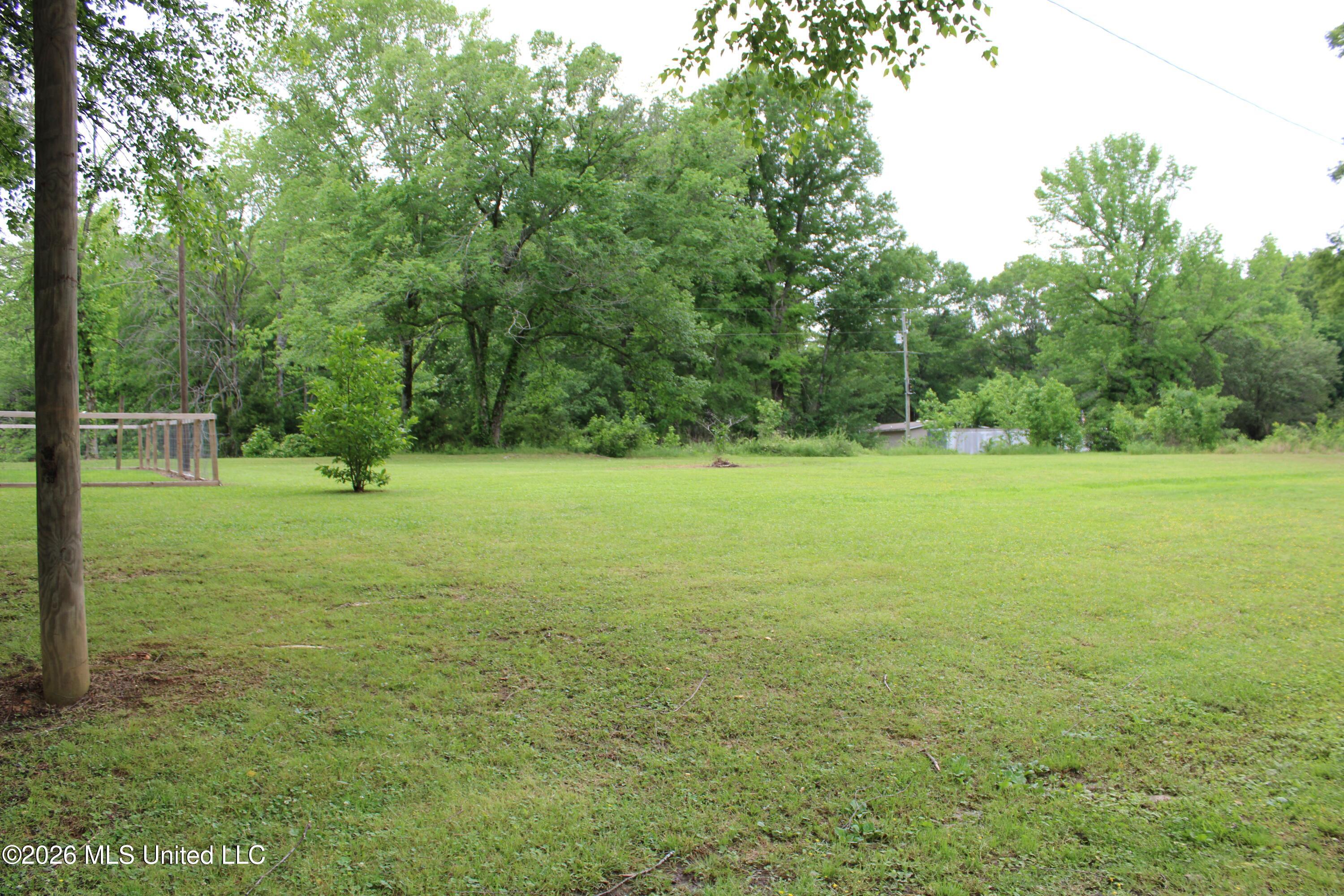 531 Pepper Tree Lane Senatobia, MS 38668 - Photo 6 of 20 Large side yard