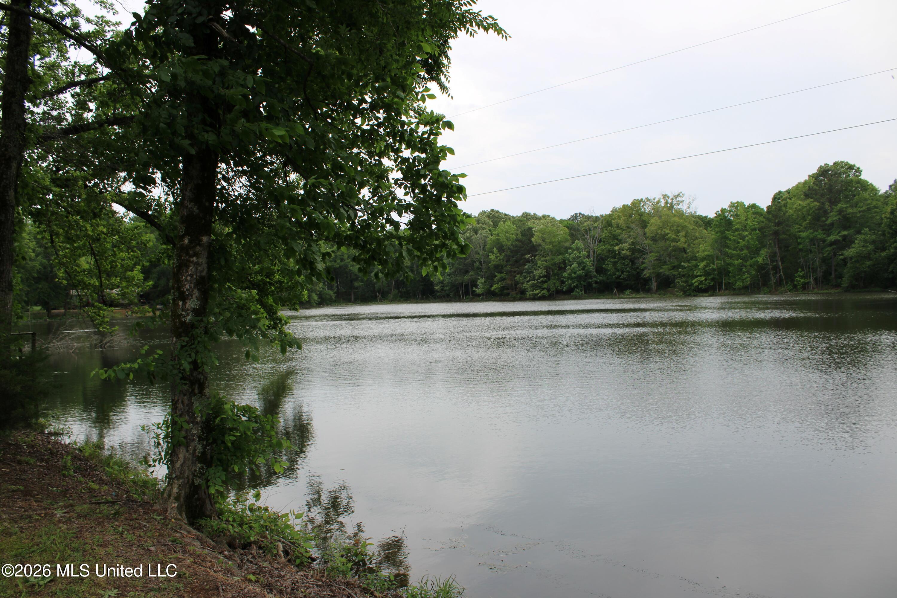 531 Pepper Tree Lane Senatobia, MS 38668 - Photo 7 of 20 Lake view
