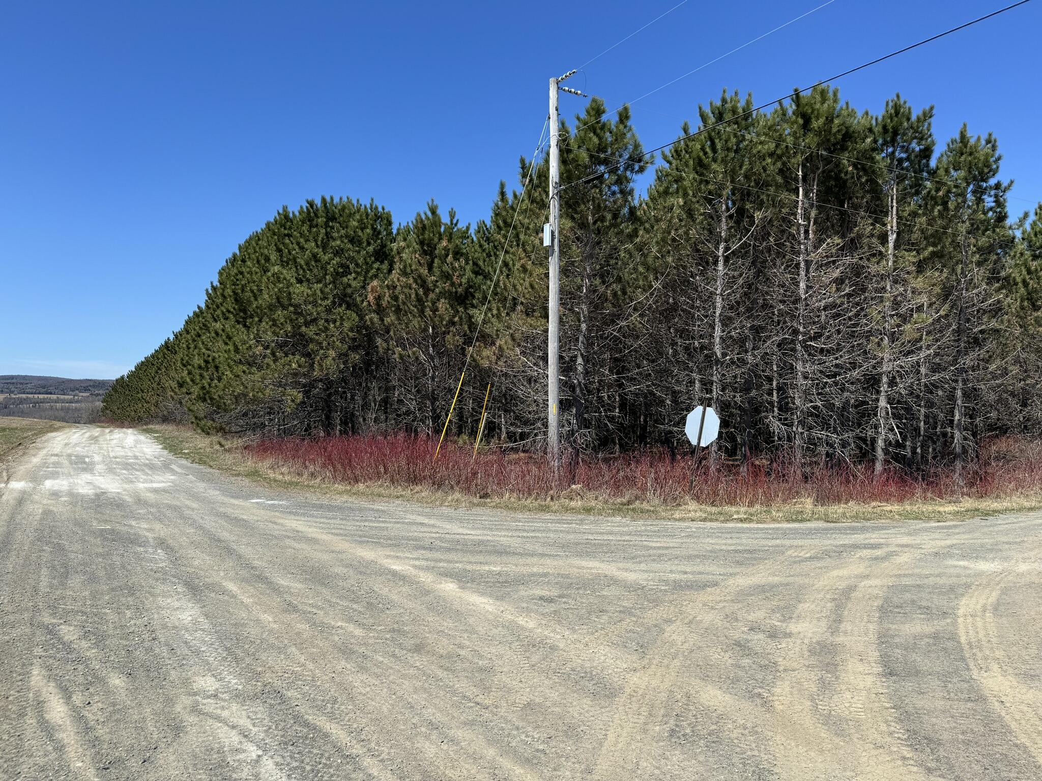 0 Desjardin Road St. David, ME 04773 - Photo 11 of 15 IMG_2280