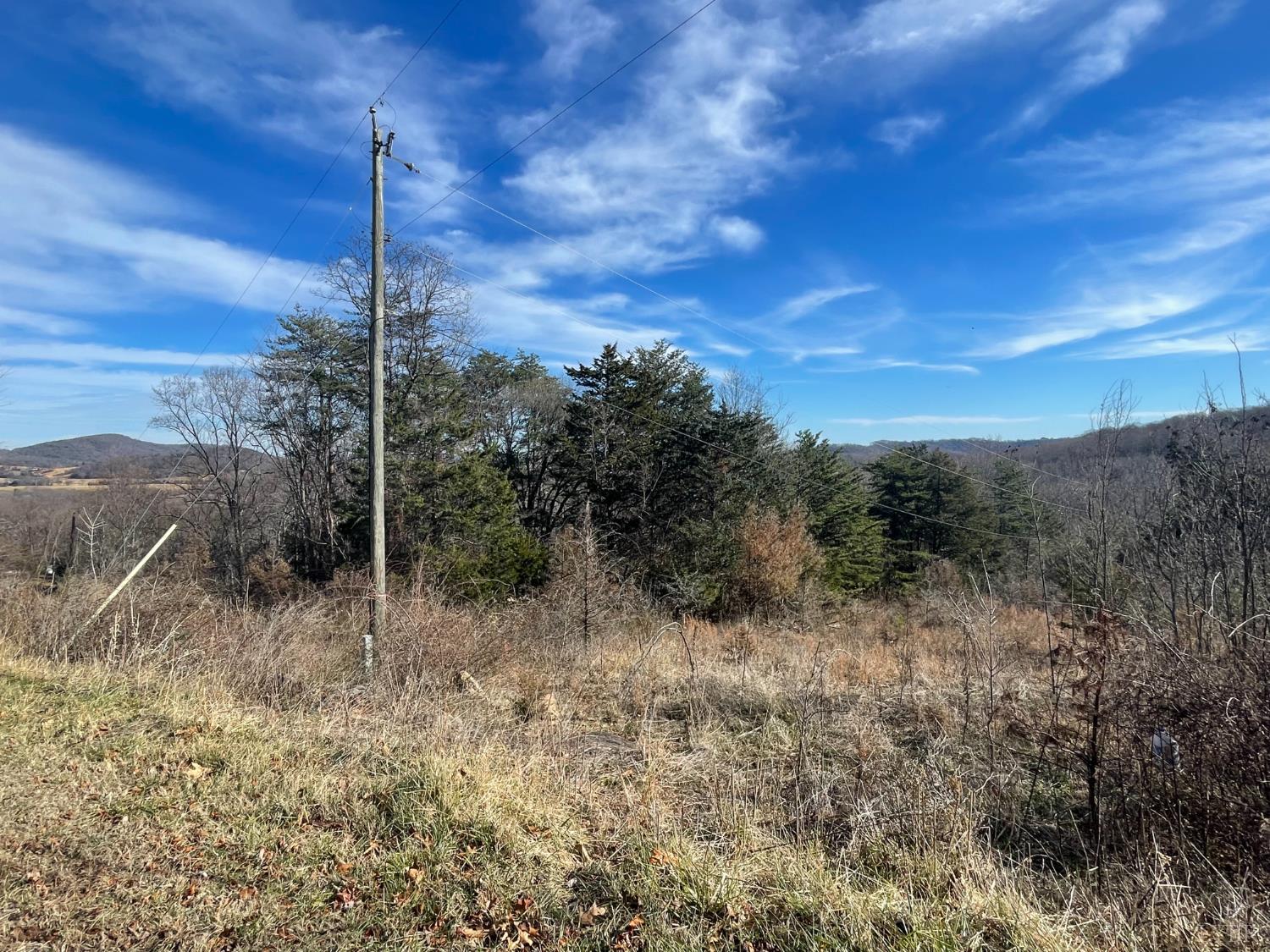 0 Taylor Mountain Road Thaxton, VA 24174 - Photo 6 of 8 Gallery Image 6