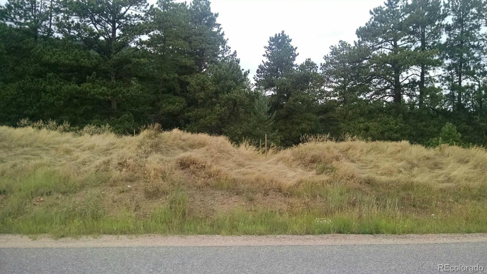 3075 High Road Evergreen, CO 80439 - Photo 1 of 1 a view of a yard