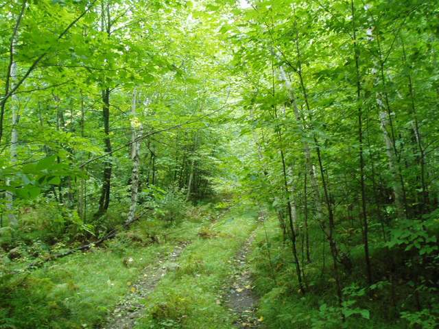 Near South Fox Ranch Road Rhinelander, WI 54501 - Photo 5 of 8 Gallery Image 5