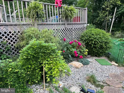 a view of a potted flower in a yard