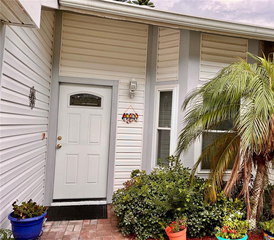 840 Franklin Circle Palm Harbor, FL 34683 - Photo 1 of 1 a potted plant sitting in front of a house