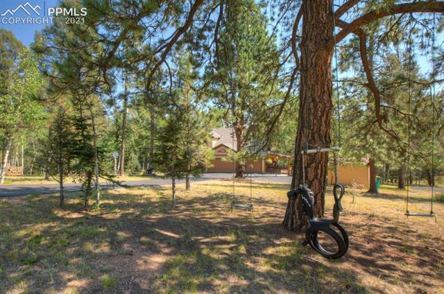 3516 Cedar Mountain Road Divide, CO 80814 - Photo 46 of 47 Gallery Image 46